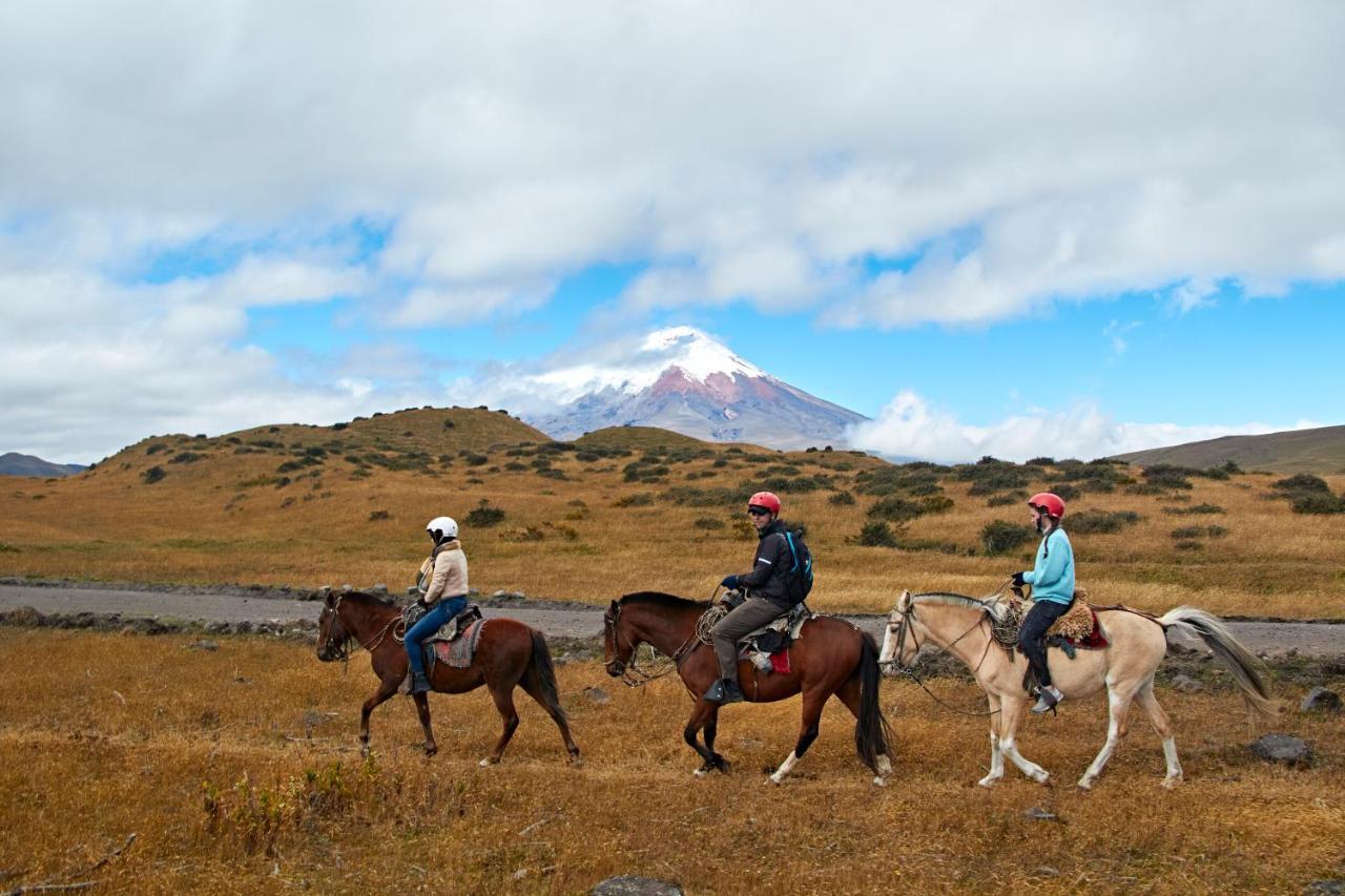 Хостел The Secret Garden Cotopaxi Hacienda Porvenir Экстерьер фото